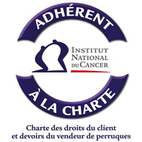Logo Institut nationnal du cancer